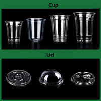 Vasos Desechables PLA/PET de 10/12/14/16/20/24/32oz con Logotipo Personalizado, 3 Opciones de Tapa, Estilo Moderno, para Café Frío y Agua, Hechos en Vietnam