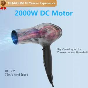 مجفف الشعر المحترف OEM / ODM 2000W منفاخ مجفف الشعر للصالون درجة محرك DC 3 درجة حرارة 2 سرعة الرياح مع 1 فوهة