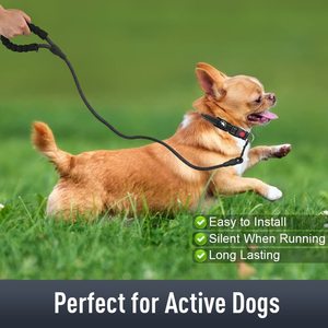 Collar Reflectante para Perros Pequeños, Medianos y Grandes, Collar Ajustable de Nailon para Perros con Funda Protectora para <span class=keywords><strong>Apple</strong></span> Airtag Tracker - Product Image 3