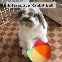 Balle interactive en peluche colorée, jouet d'enrichissement en forme de lapin en polyester doux