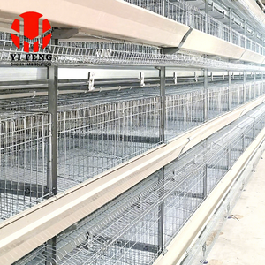 Un nouveau type <span class=keywords><strong>de</strong></span> système <span class=keywords><strong>de</strong></span> cages à poules pour poules pondeuses, un système automatique d'alimentation et <span class=keywords><strong>de</strong></span> nettoyage multi-niveaux qui permet <span class=keywords><strong>de</strong></span> gagner <span class=keywords><strong>de</strong></span> l'espace - Product Image 4