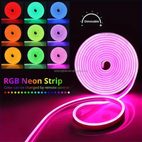 Bande lumineuse LED néon RGB 12V intelligente Tuya Wifi Bluetooth DIY flexible ruban étanche néon corde lumineuse 5m 10m