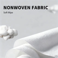 Fournisseurs d'échantillons gratuits Lingettes humides pour bébé extra douces à l'eau pure 15x20cm