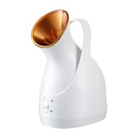 Vaporisateur Facial Professionnel Portable Mini 3-en-1 Nano Ionique pour SPA, Éclaircissant et Nettoyant en Profondeur, Réservoir 100ml