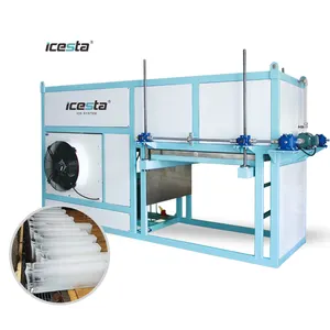 Icesta 3T Commerciële Machine Bloc De Glace Baksteen Marine Ice Maker Voor Mali Botswana Kameroen Bukina Faso West Afrika