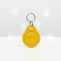 Llaveros NFC Inteligentes para el Hogar, Mini Etiquetas RFID NTAG213 de PVC y Silicona para Acceso a Apartamentos, Villas, Garajes y Hoteles