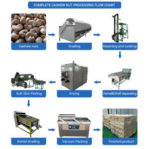 Línea de Procesamiento de Anacardos Tostados Totalmente Automática Gashili, 1 Año de Garantía, Separación de Cáscaras de Anacardos, Envasado al Vacío para Plantas de Procesamiento de Frutos Secos - Product Image 2