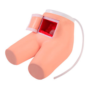 Menselijke Patiëntensimulatoren Die Manikins Klysma En Ondersteunde Ontlasting Trainen Medisch Onderwijsmodel - Product Image 5