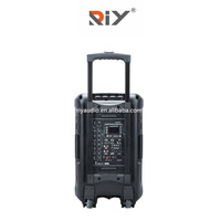 Enceinte active rechargeable PK-3212 avec fonction BT/USB, enceinte trolley active de 10/12/15 pouces avec deux micros portatifs pour l'extérieur