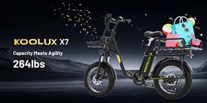 Bicicleta Eléctrica de Montaña KOOLUX Eu Stock con Suspensión Delantera, 20 Pulgadas, 48V, Motor de 250W en la Rueda Trasera, Bicicleta Urbana para Adultos de Largo Alcance - Product Image 4