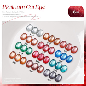 JTING 2026 HEMA/TOP ฟรี 12 สี ยาทาเล็บแพลตตินั่มแคทอาย  แบบปรับระดับได้เอง  แม่เหล็กเจลแคทอาย  ผู้จัดจำหน่าย OEM ขายส่ง - Product Image 3