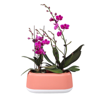 Pot de fleur créatif pour la maison Pot décoratif de plantation d'orchidées succulentes Imiter le pot de jardinière en céramique