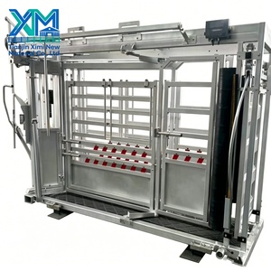 Chute de chargement galvanisée pour bovins avec fonction d'écrasement et de pesage pour le bétail - Product Image 1