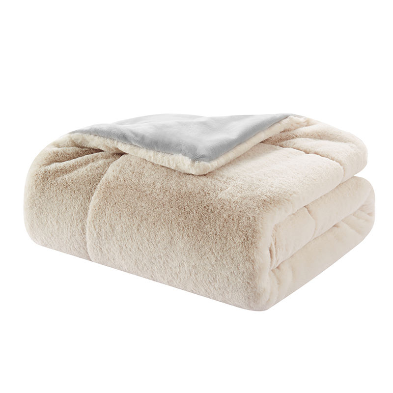 แอปริคอท