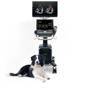 Système d'échographie vétérinaire haute performance Mindray Vetus 80 pour chats et chiens avec système d'imagerie diagnostique et Doppler couleur - Product Image 1