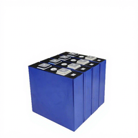 Batterie lithium LiFePO4 32V multi-capacité Ruipulan neuve pour véhicules électriques -20 60