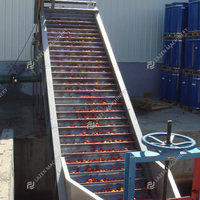 Ligne de production automatique de pâte de tomate aseptique de 1 à 500 TPD, usine de transformation de la pâte de tomate et de ketchup, machines de fabrication