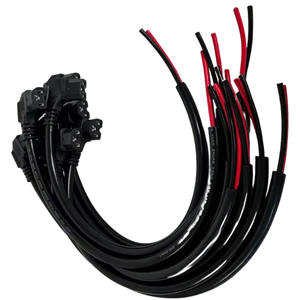 <span class=keywords><strong>Triciclo</strong></span> eléctrico negro 6 cuadrado 50cm línea de codo 36V Motor sin escobillas de cobre enchufe impermeable enchufe de alimentación de carga - Product Image 2