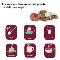 Mélange de Poudres d'Extraits de Champignons Puissant 12-en-1 Bio Marque Blanche OEM : Crinière de Lion, Cordyceps, Reishi, Chaga, Queue de Dinde