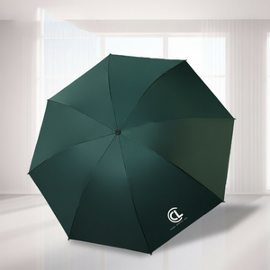 Meilleur parapluie pliant avec logo personnalisé, ouverture manuelle, anti-UV, paraguas, pare-vent, portable, pour femmes et hommes, impression de logo, parapluies pour la pluie - Product Image 3