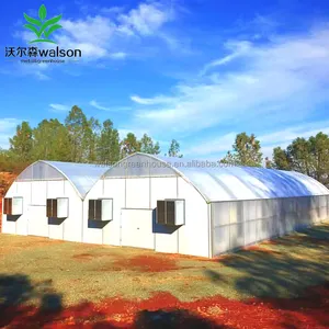 Walson One agricultura invernadero completo tienda de cultivo forma de arco túnel alto casa verde para cultivos plantación/vivero