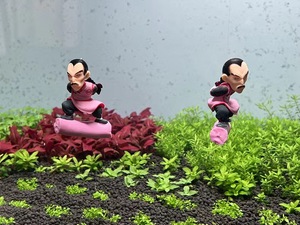 ตู้ปลาดราก้อนบอลโกคูทรงลูกบอลลอยสำหรับตกแต่งสวยงาม - Product Image 2