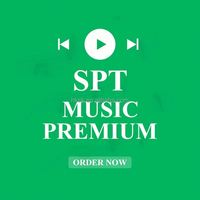 Reproductor de Música Premium TimeSpace Spo Ify Compatible con Windows y MAC en Stock