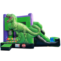 Château gonflable sur le thème des dinosaures, équipement de terrain de jeu extérieur pour enfants, structure de saut amusante