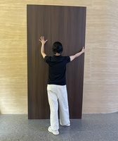 Panel de Pared Interior Moderno de PVC con Chapa de Madera de Bambú Carbonizado, 5mm-8mm de Grosor, Resistente a la Humedad, Acabado Dorado, Panel de Cristal para el Hogar