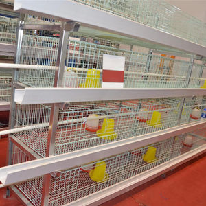 Superficie antibacteriana de estructura baja en polvo adecuada para jaulas higiénicas de pollos de engorde para granjas orgánicas - Product Image 1