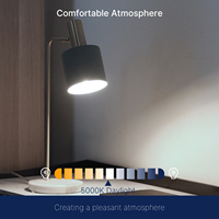 Tube LED T6 E12 5000K Lumière du jour Dimmable pour Lustre Éclairage Décoratif Vente en Gros Certifié 5.5W