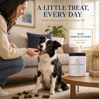 Astragalus Lactoferrine Colostrum Soutien Immunitaire Friandises à Mâcher pour Chiens Bien-être Quotidien Formule Naturelle Marque Privée