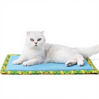 Tapis pour animaux de compagnie en mousse à mémoire de forme antidérapante moderne et confortable pour l'été, coussin de lit rafraîchissant doux pour chiens, couverture pour animaux de compagnie de qualité supérieure