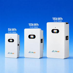 แบตเตอรี่ LiFePO4 แบบติดผนัง 5kWh 10kWh 16kWh 51.2V สำหรับเก็บพลังงานภายในบ้านสำหรับระบบโซลาร์เซลล์ พร้อมการสื่อสารผ่าน CAN รองรับ OEM ODM - Product Image 3