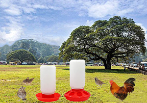 Nuevo bebedero de plástico para pollitos de 1L, bebederos para granja de aves de corral, comederos para pollos, pájaros, codornices, taza de agua, tazón para pollo, codorniz, otros - Product Image 5