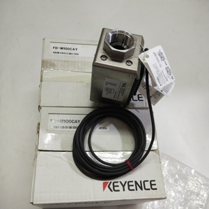 FD-M100CAY อุปกรณ์วัดการไหลแบบอุตสาหกรรม พร้อมสัญญาณเอาต์พุต 4-20mA - Product Image 4