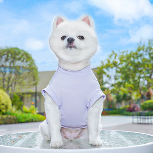 Chemise rafraîchissante à manches courtes pour chien et chat, printemps-été, vêtements de mode pour animaux de compagnie, design de luxe populaire - Product Image 6