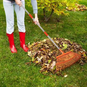 Maniglia regolabile pulizia rapida del <span class=keywords><strong>giardino</strong></span> in acciaio con foglia di prato - Product Image 4