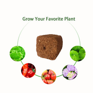 50 pcs Dừa Than bùn phát triển cắm xơ dừa văn hóa thực vật thực vật Đất nguyên liệu để cắt cây giống phát triển nông nghiệp - Product Image 2