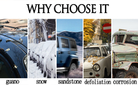 Fabrik PE Clear Plastic Einweg-Auto abdeckung SML LL Größen mit Gummiband Universal Soft Protective Rain Dust Garage