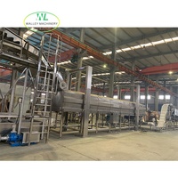Volledig automatische Walley pruimen- en rozijnwasser, -droger, -vochtverhoger en -sterilisator voor de verwerking van fruit en groenten
