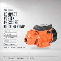 Pompa Air Bertekanan Vortex Kompak Seri PWN 250W Daya Maksimum 35m Tekanan 5 bar Peningkat Tekanan Air Rumah Tangga OEM
