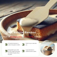Vente en gros 95mm Mini cuillère en bambou écologique Cuillère à crème glacée jetable naturelle en bambou