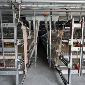 Cage de poulet de système de batterie à multiniveaux à haute efficacité de Type H pour les <span class=keywords><strong>poules</strong></span> <span class=keywords><strong>pondeuses</strong></span> - Product Image 1