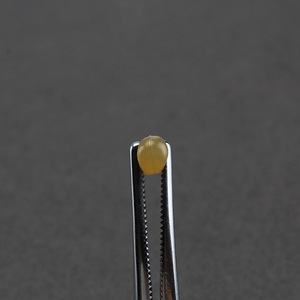 ถั่วยางโอฮู รุ่น 3XL สำหรับอุปกรณ์ตกปลาแข่งขัน - Product Image 2