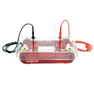 होफर प्रयोगशाला मिनी पनडुब्बी क्षैतिज आगोरेली जेल इलेक्ट्रोफोरेसिस यूनिट बायोमोलेक्यूल्स डाना न्यूक्लिक एसिड इलेक्ट्रोफोरेसिस - Product Image 5