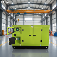 Générateur Diesel Silencieux Extérieur Étanche 160kW 200kVA 250kVA 300kVA avec ATS, Refroidissement par Eau, 50/60Hz, Housse de Protection Contre la Pluie et Tente de Fonctionnement Anti-Intempéries