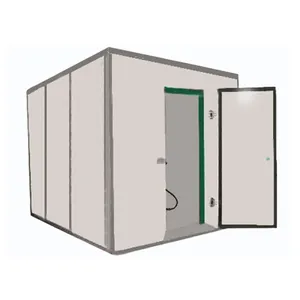 -35 Portable 10 tonnes de capacité de stockage à froid conteneur CE personnalisé fourni polyuréthane chambre froide durable 3 ans R404A