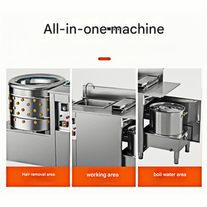 Machines de <span class=keywords><strong>D</strong></span>éjections Avicoles à Capacité Personnalisée, de 100 <span class=keywords><strong>Oiseaux</strong></span>/Heure à 600 <span class=keywords><strong>Oiseaux</strong></span>/Heure, Répondant à Différents Besoins - Product Image 4