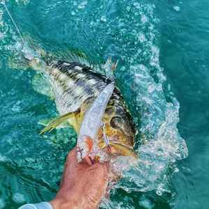 เหยื่อตกปลาแบบไม่มีสี ขนาด 148 มม. น้ำหนัก 43 กรัม แบบจมน้ำ รูปทรงดินสอ สำหรับตกปลาในน้ำจืด น้ำเค็ม ปลาแซลมอน ปลาไพค์  แบบ DIY - Product Image 2